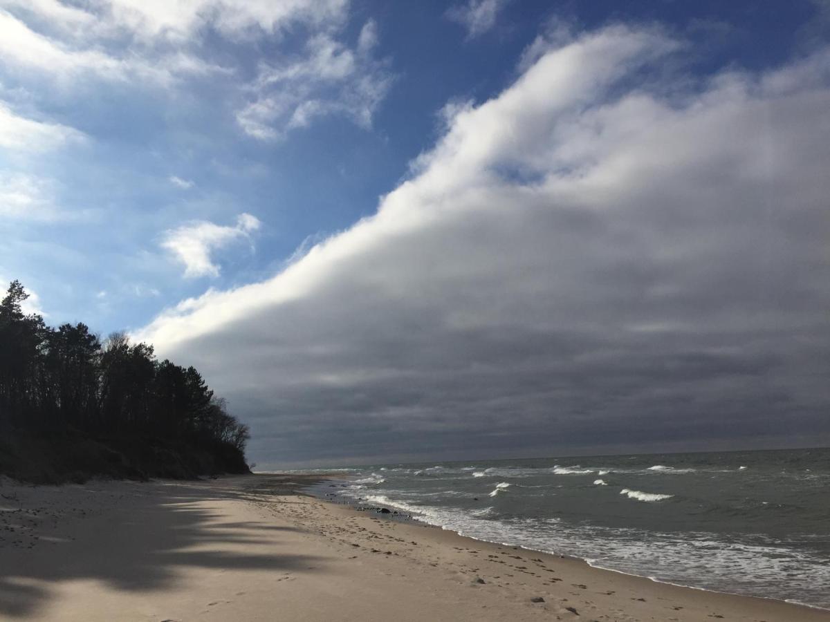 Dzikie Gaski Buitenkant foto